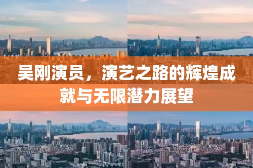 吴刚演员，演艺之路的辉煌成就与无限潜力展望