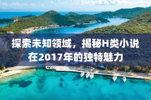 探索未知领域，揭秘H类小说在2017年的独特魅力