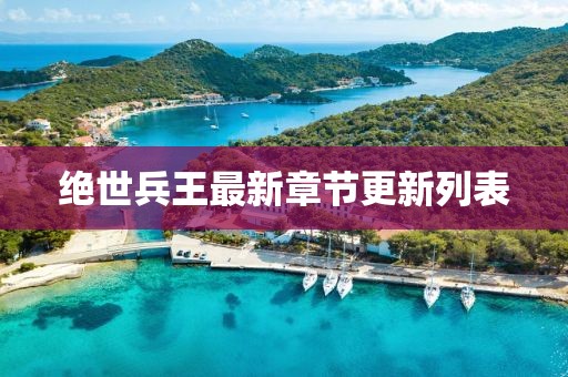 绝世兵王最新章节更新列表