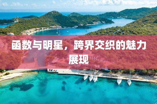 函数与明星，跨界交织的魅力展现