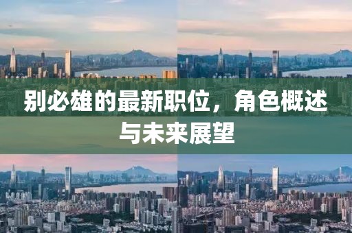 别必雄的最新职位，角色概述与未来展望