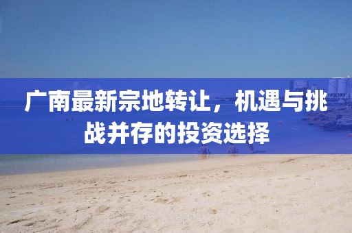 广南最新宗地转让，机遇与挑战并存的投资选择