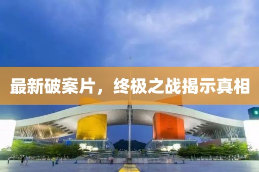 最新破案片，终极之战揭示真相