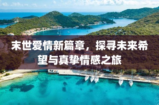 末世爱情新篇章，探寻未来希望与真挚情感之旅
