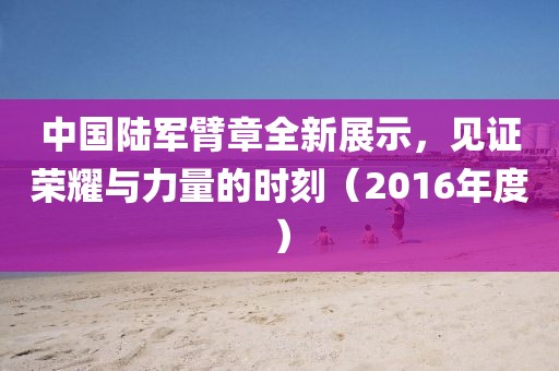 中国陆军臂章全新展示，见证荣耀与力量的时刻（2016年度）