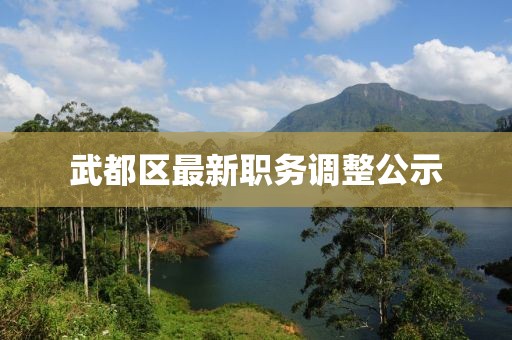 武都区最新职务调整公示