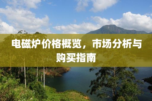 电磁炉价格概览，市场分析与购买指南