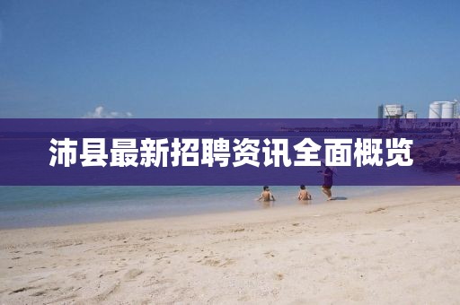 沛县最新招聘资讯全面概览