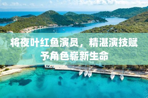 将夜叶红鱼演员，精湛演技赋予角色崭新生命