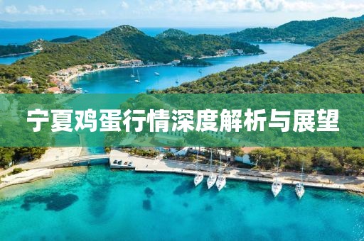 宁夏鸡蛋行情深度解析与展望