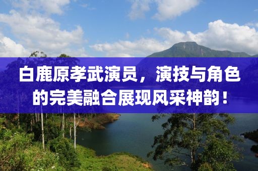 白鹿原孝武演员，演技与角色的完美融合展现风采神韵！