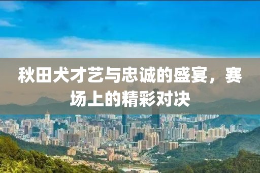 秋田犬才艺与忠诚的盛宴，赛场上的精彩对决