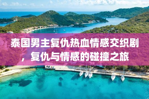 泰国男主复仇热血情感交织剧，复仇与情感的碰撞之旅