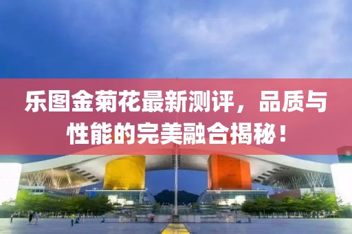 乐图金菊花最新测评，品质与性能的完美融合揭秘！