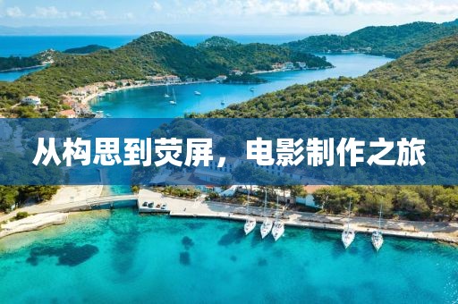 从构思到荧屏，电影制作之旅