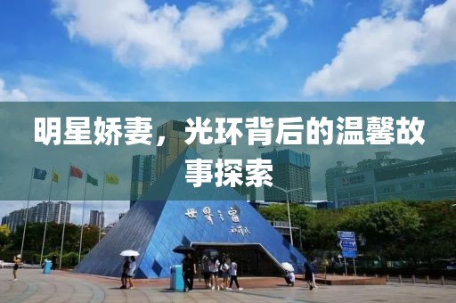 明星娇妻，光环背后的温馨故事探索