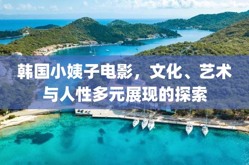 韩国小姨子电影，文化、艺术与人性多元展现的探索