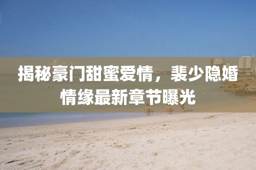 揭秘豪门甜蜜爱情，裴少隐婚情缘最新章节曝光