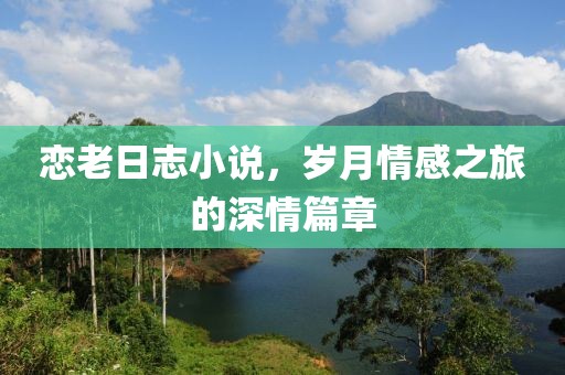 恋老日志小说，岁月情感之旅的深情篇章