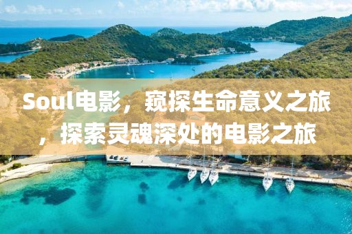 Soul电影，窥探生命意义之旅，探索灵魂深处的电影之旅