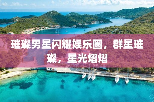 璀璨男星闪耀娱乐圈，群星璀璨，星光熠熠