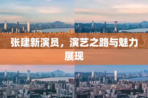 张建新演员，演艺之路与魅力展现