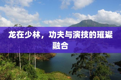 龙在少林，功夫与演技的璀璨融合