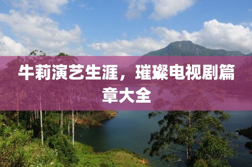 牛莉演艺生涯，璀璨电视剧篇章大全