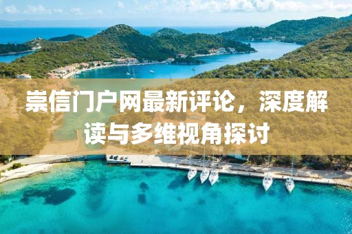 崇信门户网最新评论，深度解读与多维视角探讨