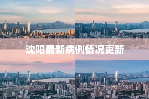 沈阳最新病例情况更新