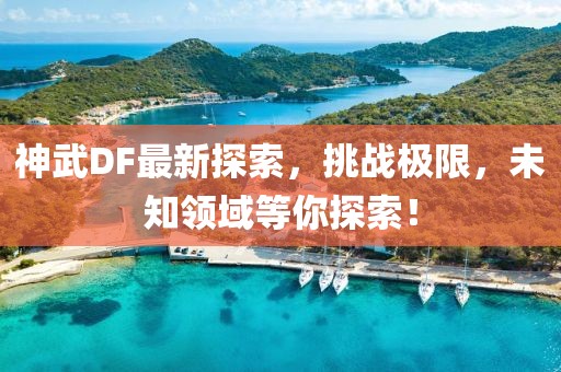 神武DF最新探索，挑战极限，未知领域等你探索！