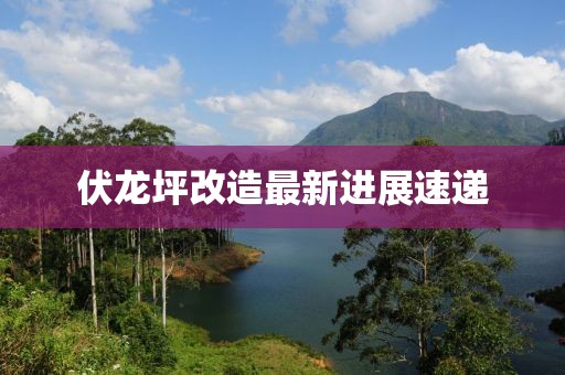 伏龙坪改造最新进展速递