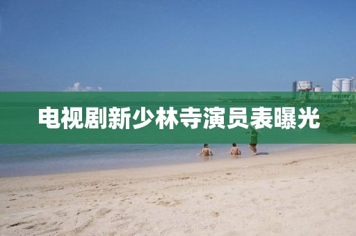 电视剧新少林寺演员表曝光