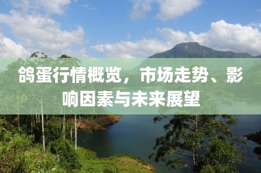 鸽蛋行情概览，市场走势、影响因素与未来展望