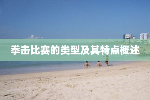 拳击比赛的类型及其特点概述