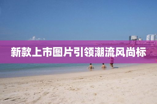 傲气稳了全场 第2页