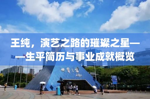 王纯，演艺之路的璀璨之星——生平简历与事业成就概览
