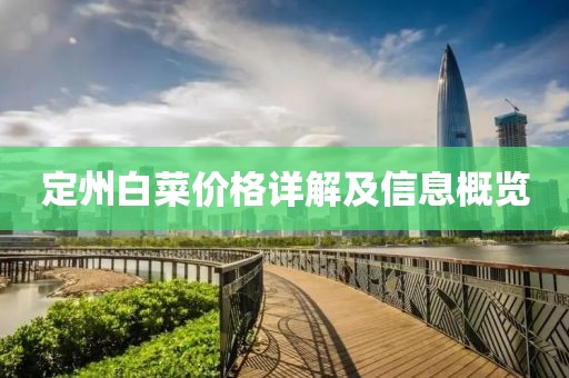 定州白菜价格详解及信息概览