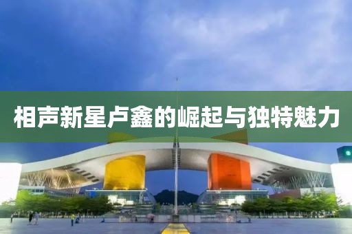 相声新星卢鑫的崛起与独特魅力