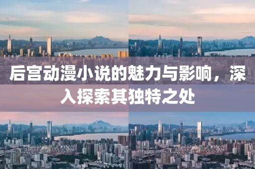 后宫动漫小说的魅力与影响，深入探索其独特之处