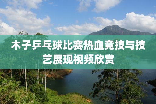 木子乒乓球比赛热血竞技与技艺展现视频欣赏