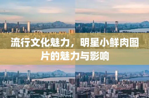 流行文化魅力，明星小鲜肉图片的魅力与影响