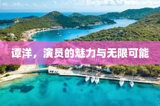 谭洋，演员的魅力与无限可能