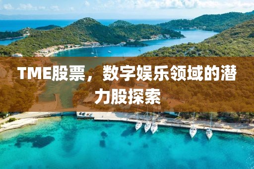 TME股票，数字娱乐领域的潜力股探索