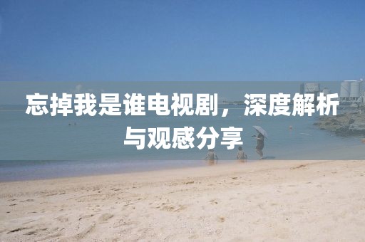 忘掉我是谁电视剧，深度解析与观感分享