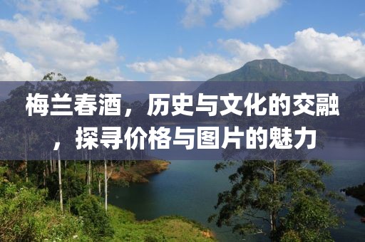 梅兰春酒，历史与文化的交融，探寻价格与图片的魅力