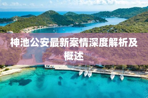 神池公安最新案情深度解析及概述