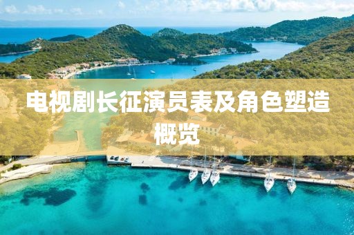 电视剧长征演员表及角色塑造概览