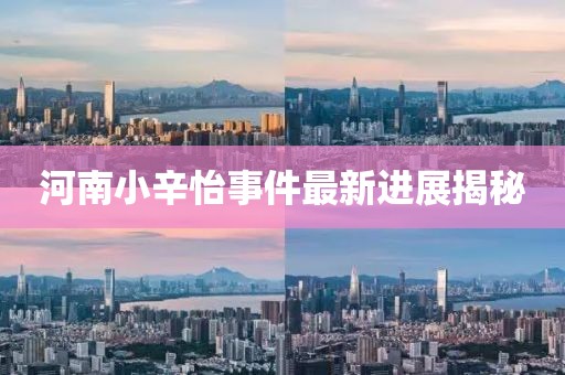 河南小辛怡事件最新进展揭秘