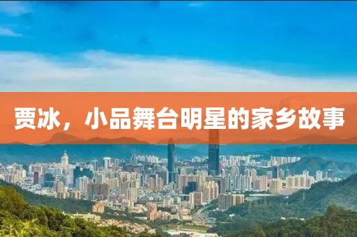贾冰，小品舞台明星的家乡故事